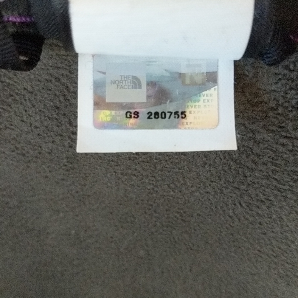 North Face Apex Bionic Jacket - image 7